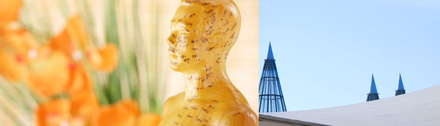 Praxis Conrads — Website