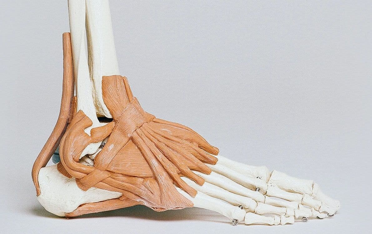 MVZ für Orthopädie und Unfallchirurgie Golzheim — Website