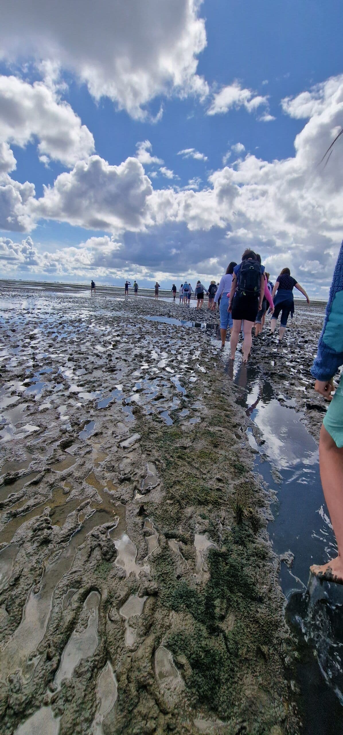 SportOrthopädie Bremen — Website