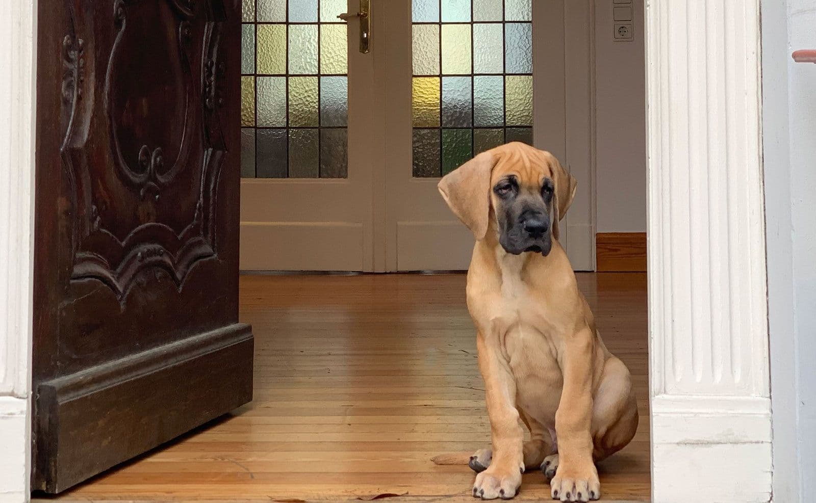 Kazemi & Partner Rechtsanwälte — Website