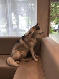 Praxis für Radiologie und Nuklearmedizin Dr. med. Regina Auer