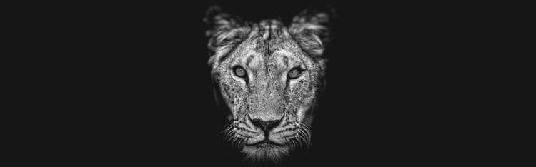 Rechtsanwältin Andrea Krafft