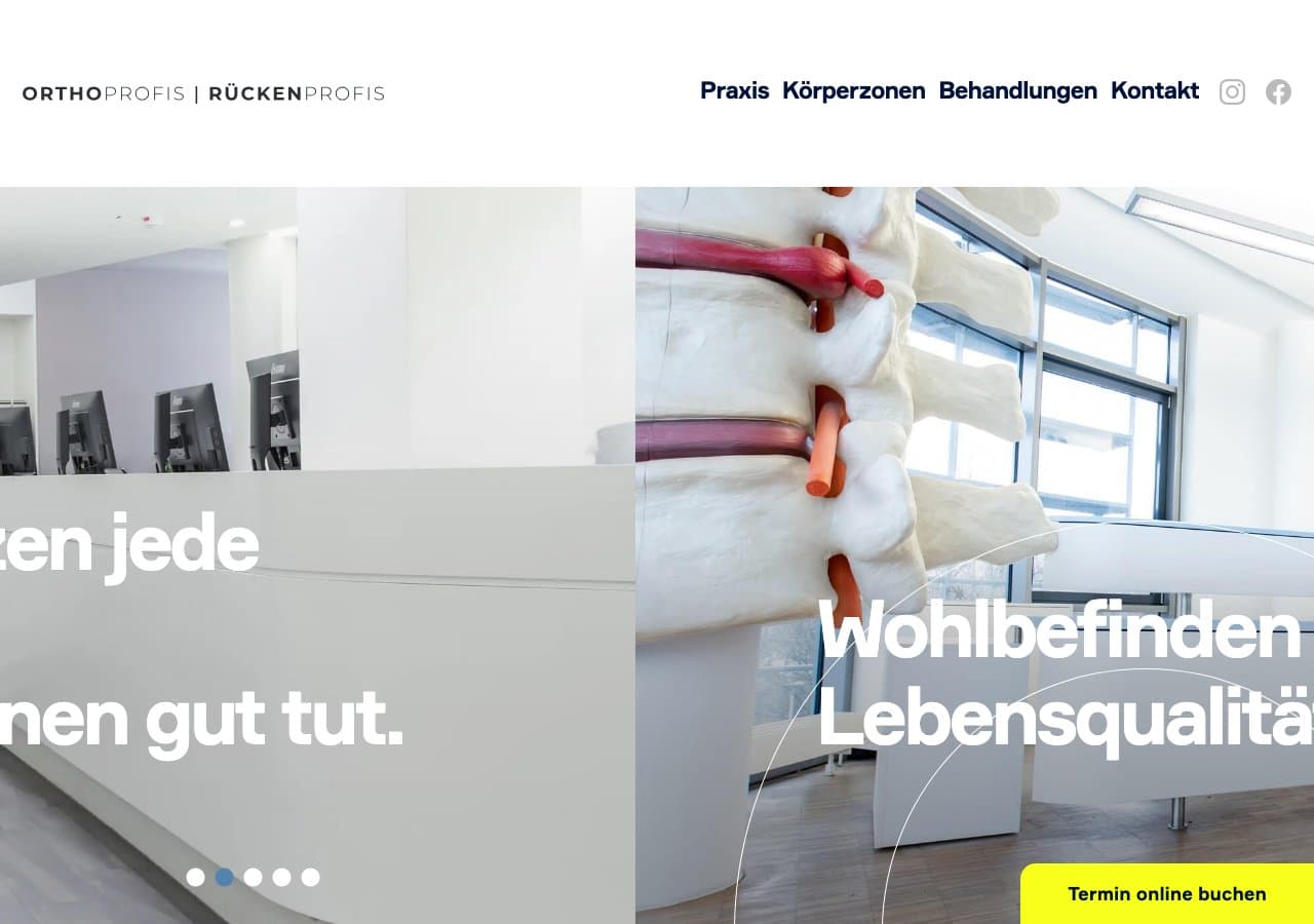 orthoprofis I rückenprofis