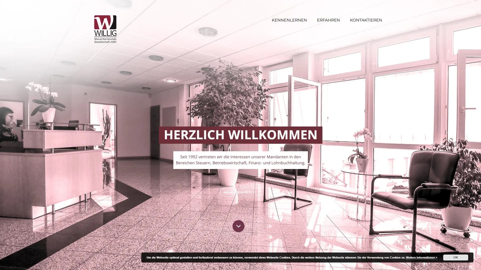 Willig Steuerberatungsgesellschaft mbH — Website