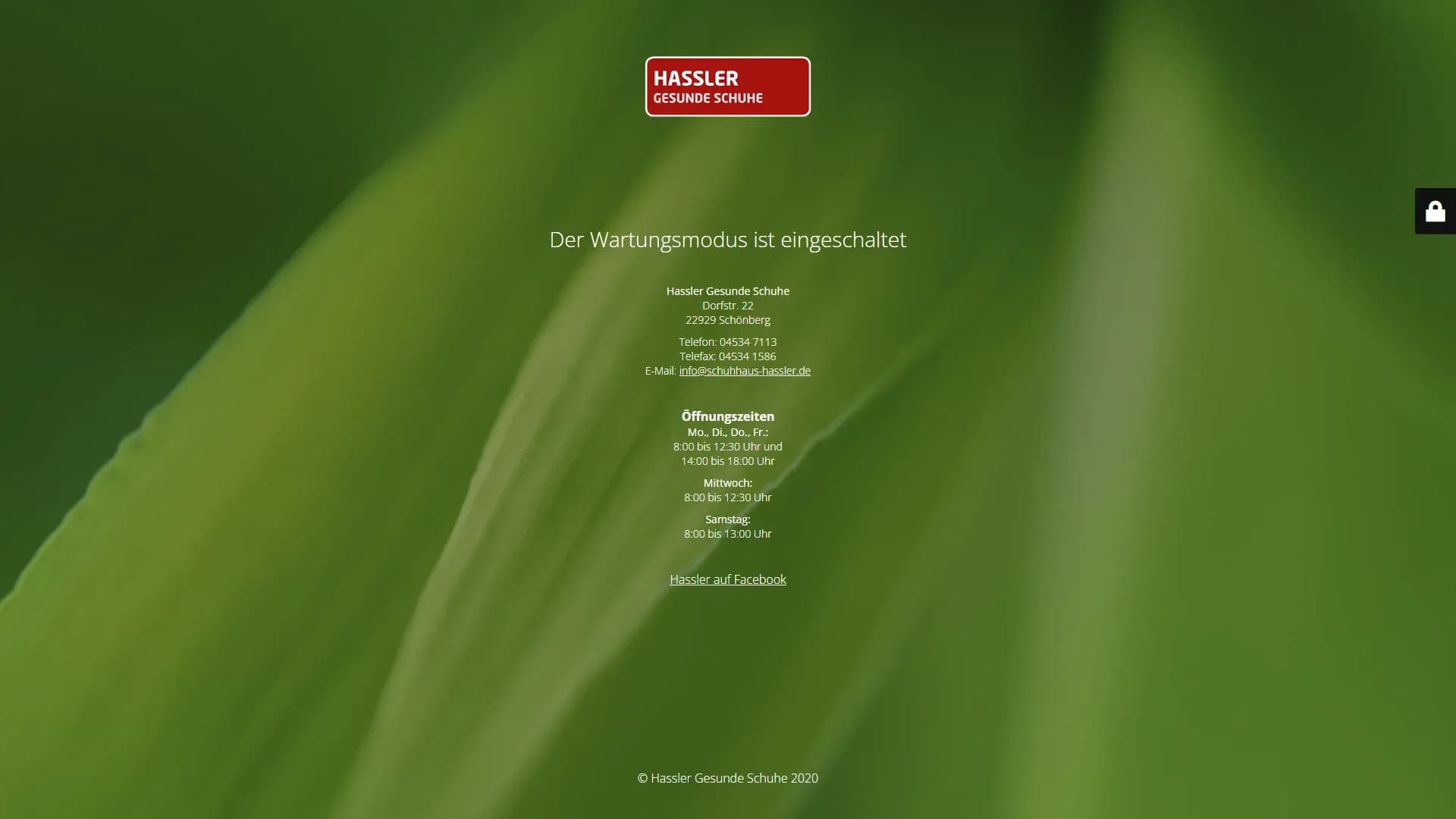 Hassler Gesunde Schuhe — Website