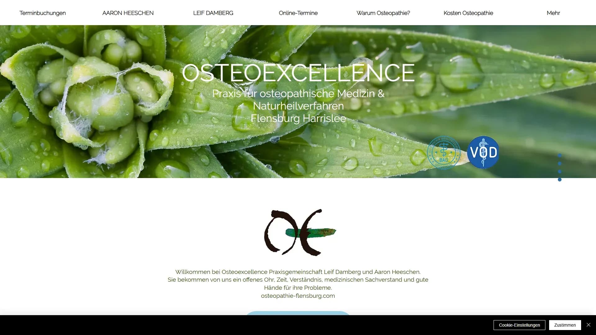 Osteopathie Flensburg Harrislee — Website